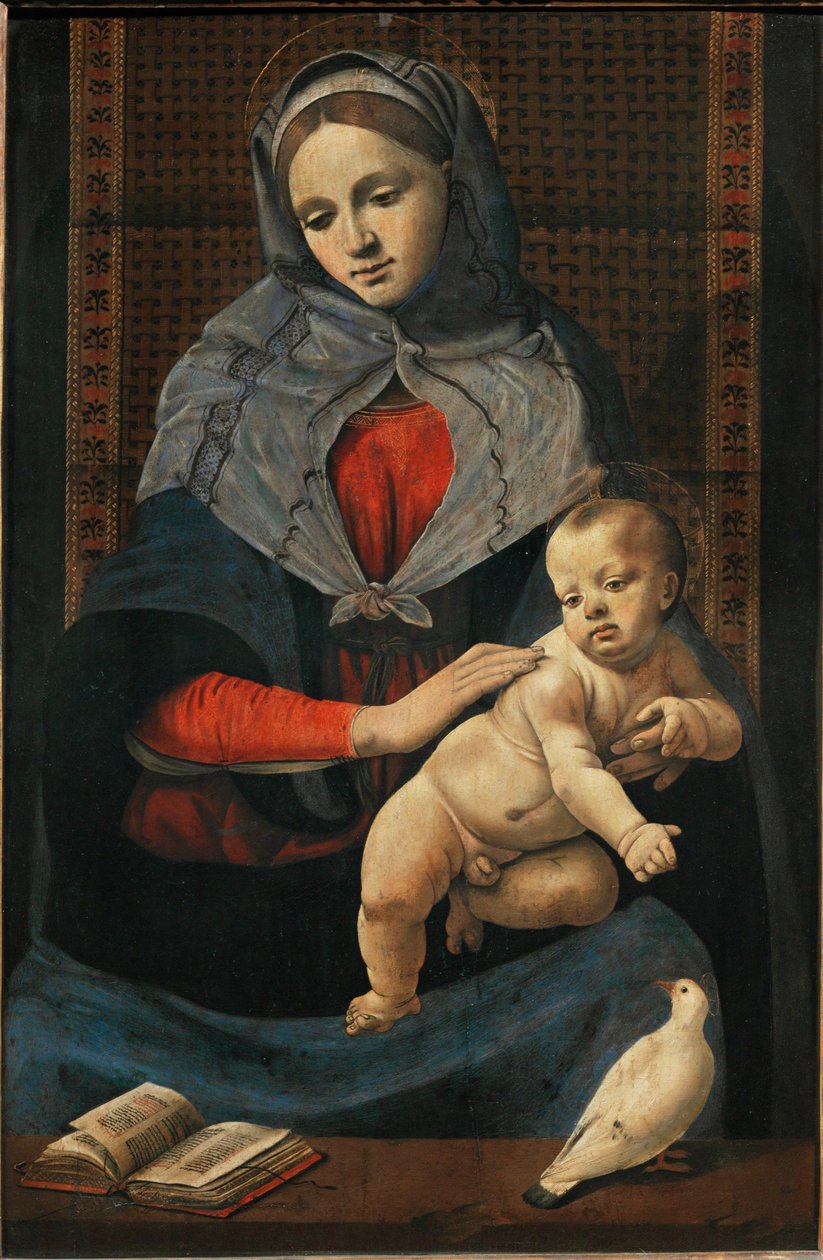 Madonna og barn med en due ... af Piero di Cosimo