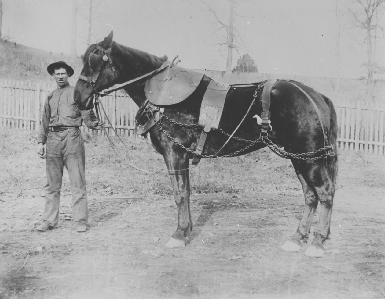Donohoe (fornavn ukendt) og hans hest af Pierre A. Gentieu