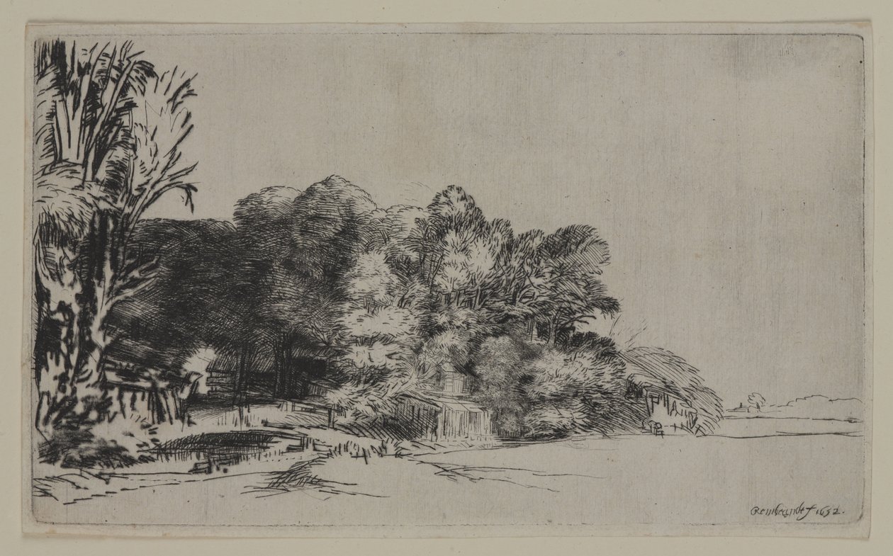 Træklump med en Vista, 1652 (tørpunkt på lagt papir) af Pierre Auguste Renoir