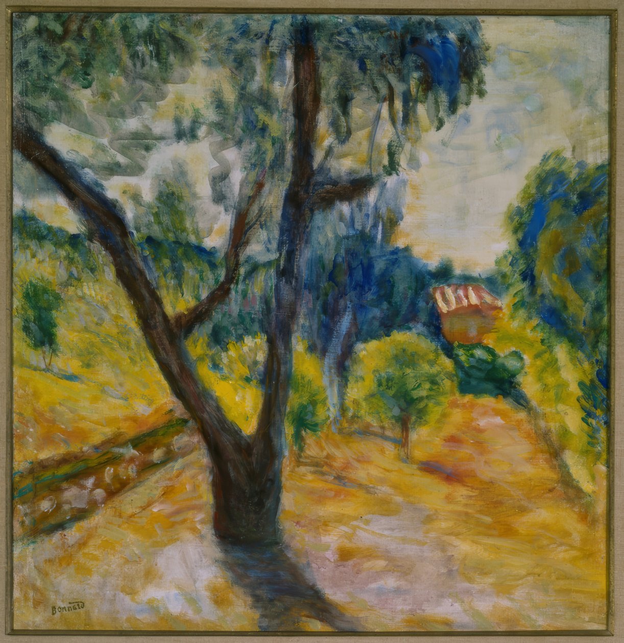 Landskab med oliventræ af Pierre Bonnard