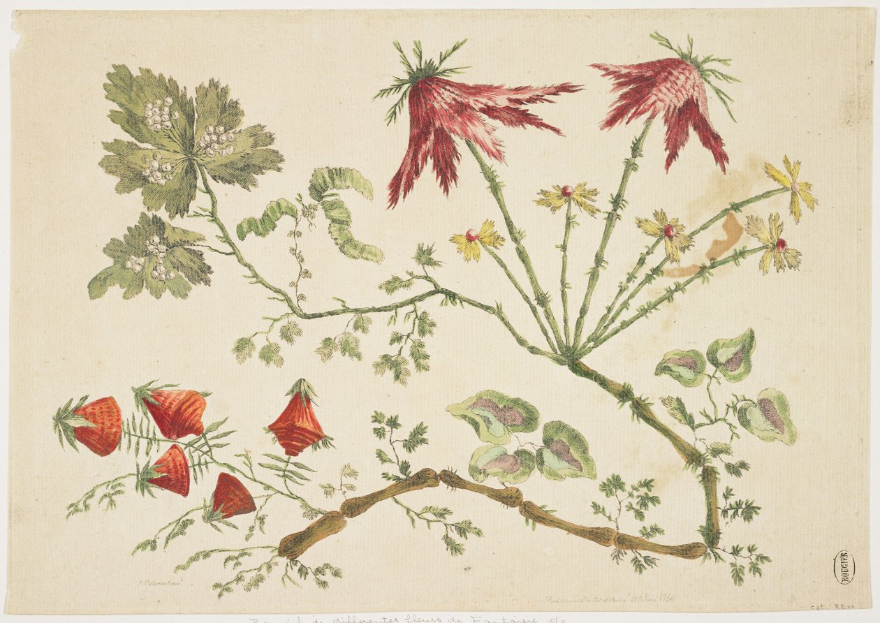 Ornament, Chinoiserie, Blomster, 30. juni 1760 (farvet radering) af Pierre Charles Canot