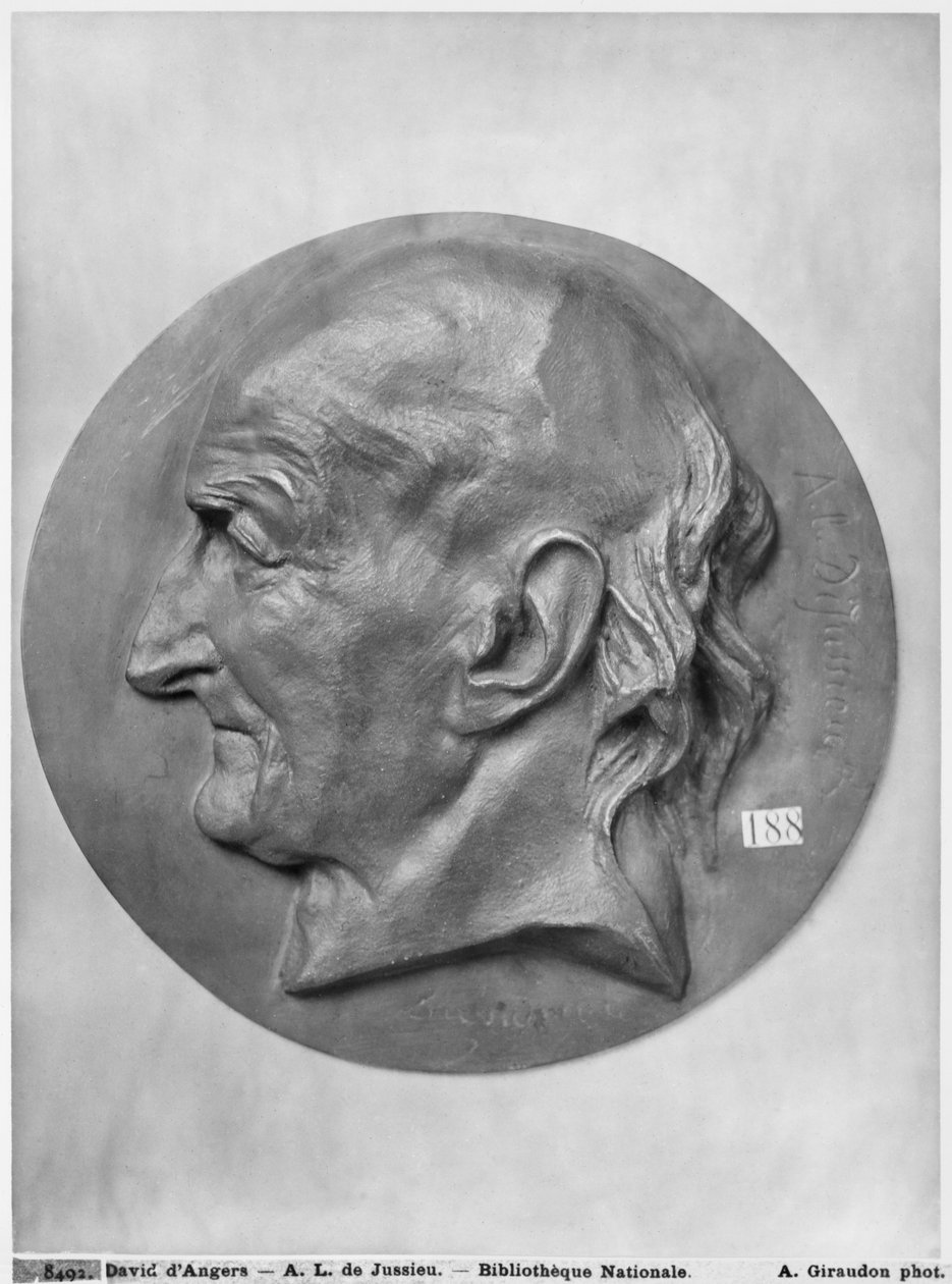 Antoine Laurent de Jussieu (bronze) af Pierre Jean David d