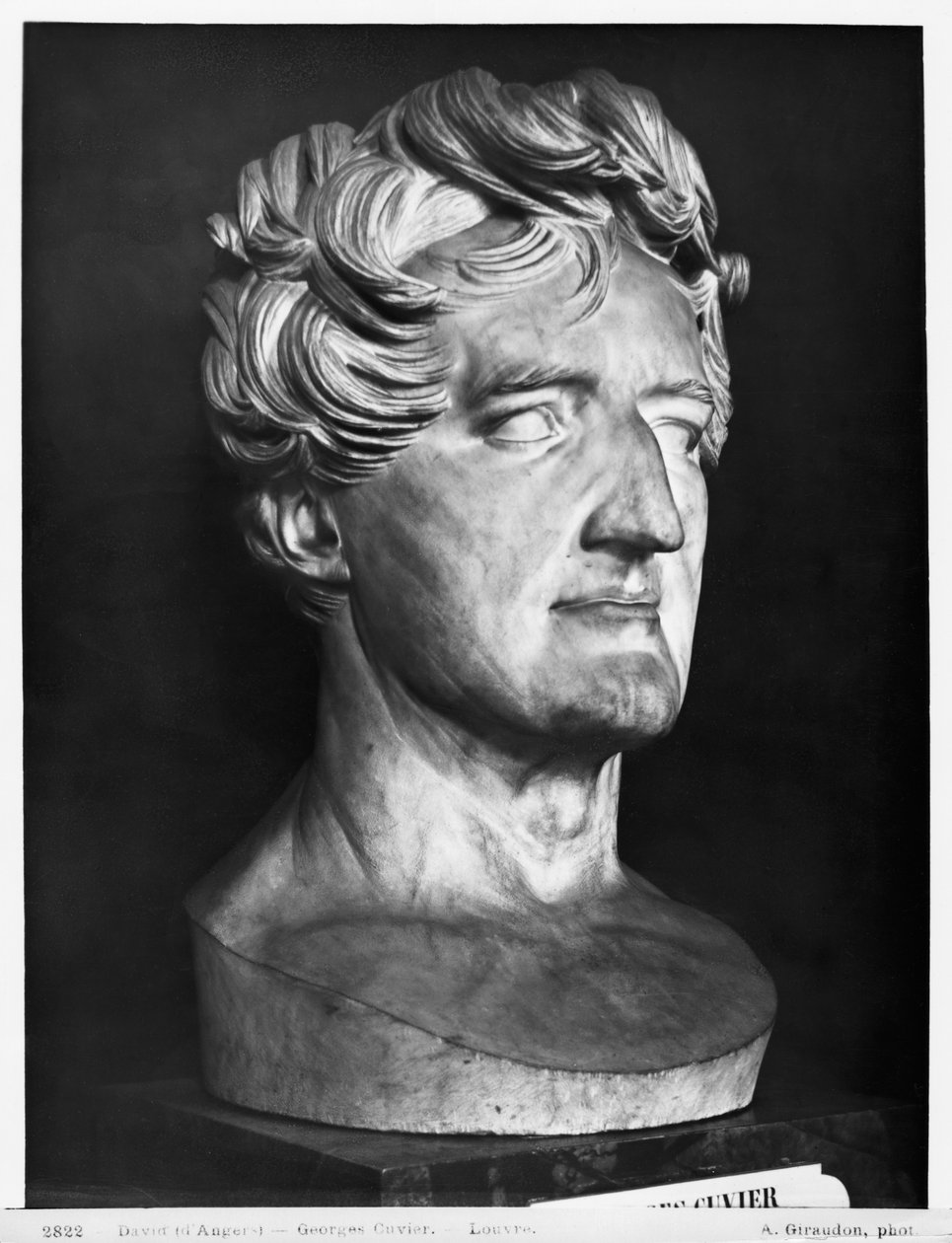 Georges Cuvier, 1833 (marmor) af Pierre Jean David d