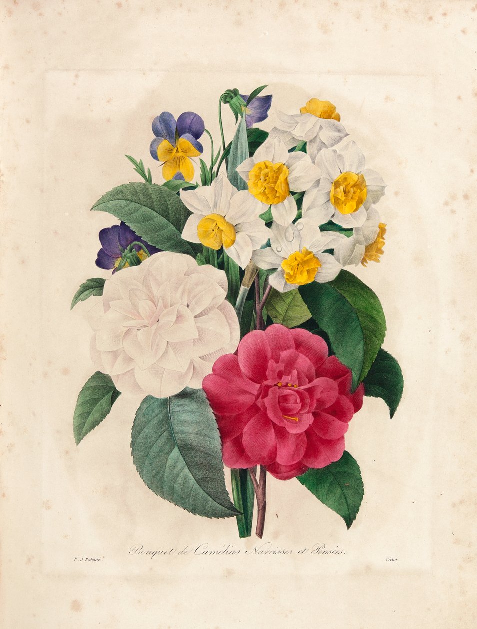 Buket af kameliaer, narcisser og stedmoderblomster, graveret af Victor, fra 