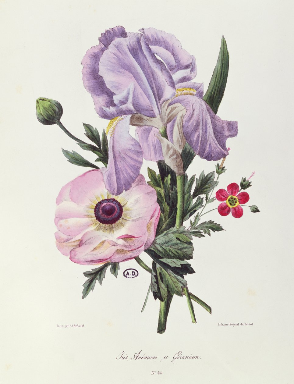 Iris, anemone og geranium, graveret af Pointel du Portail, ca. 1830 af Pierre Joseph Redouté