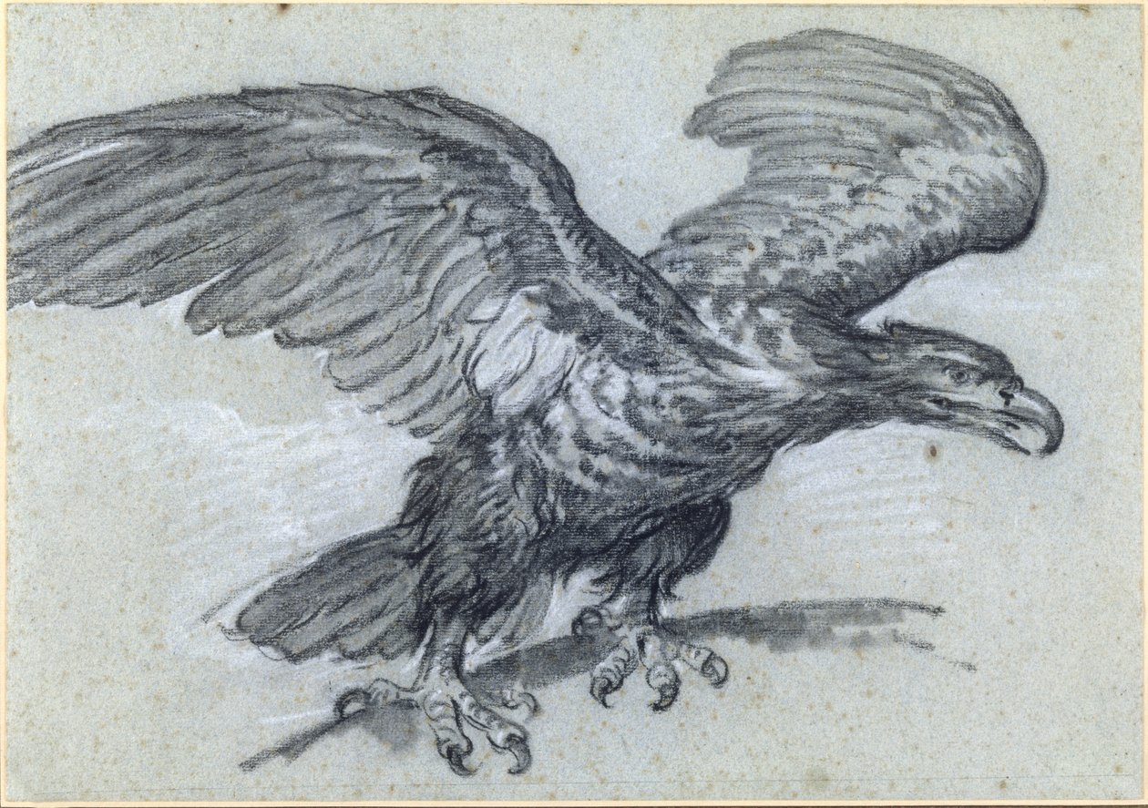 En ørn, 1811 af Pierre Paul Prudhon