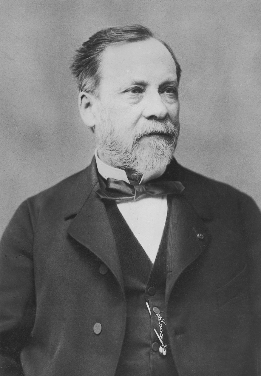 Portræt af Louis Pasteur af Pierre Petit