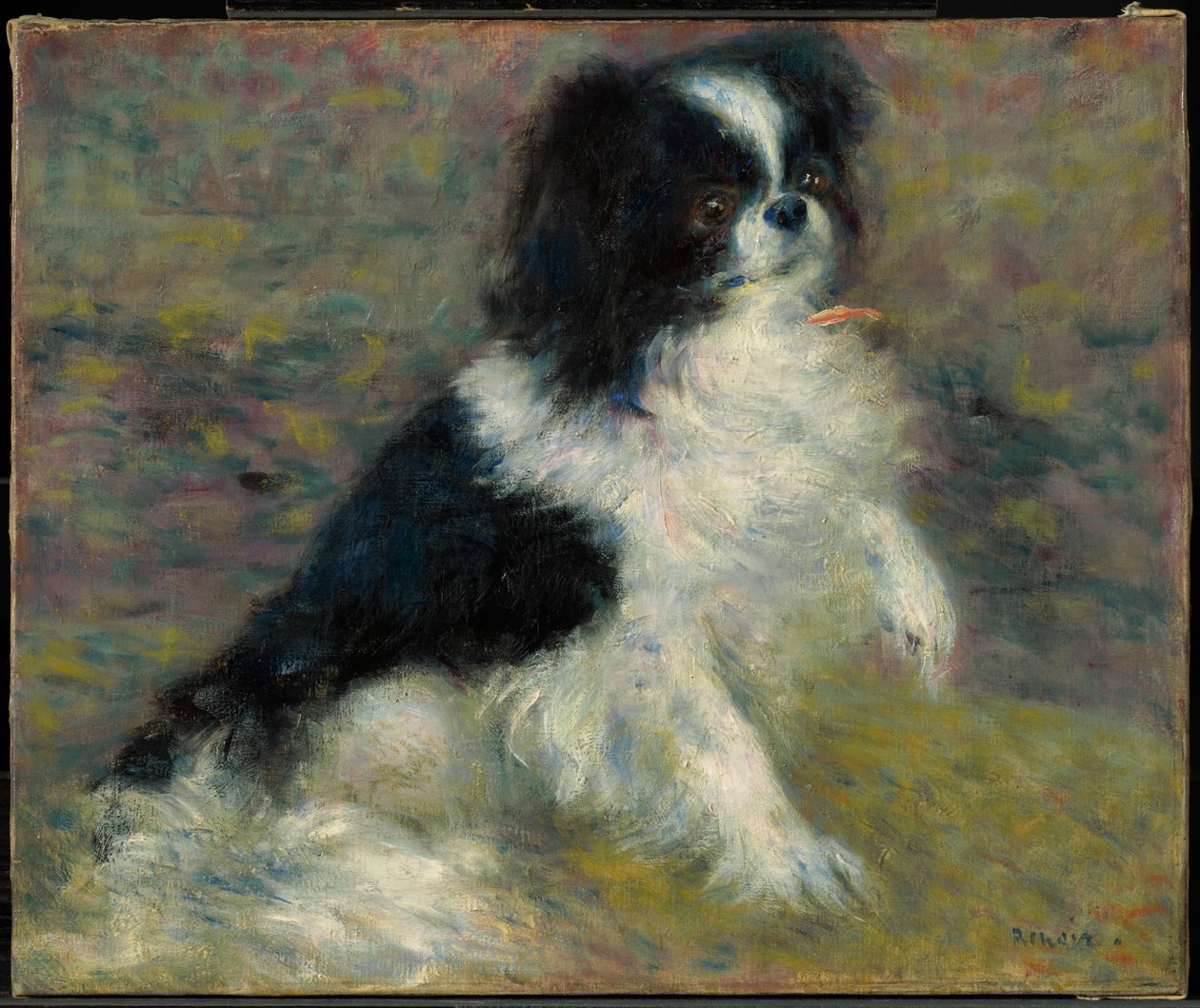 Tama, den japanske hund af Pierre-Auguste Renoir