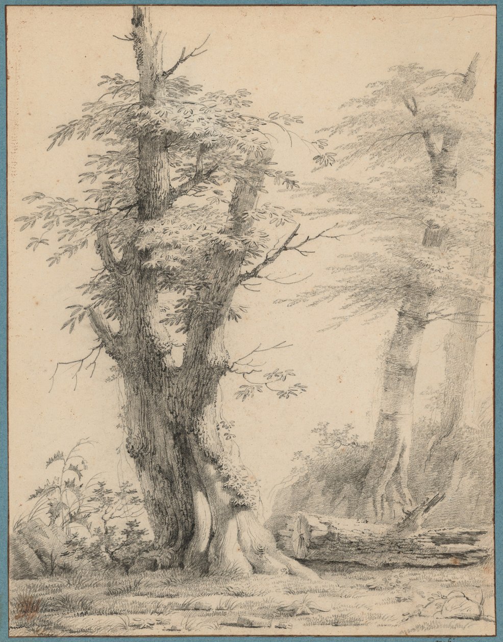 En gruppe træer af Pierre-Henri de Valenciennes