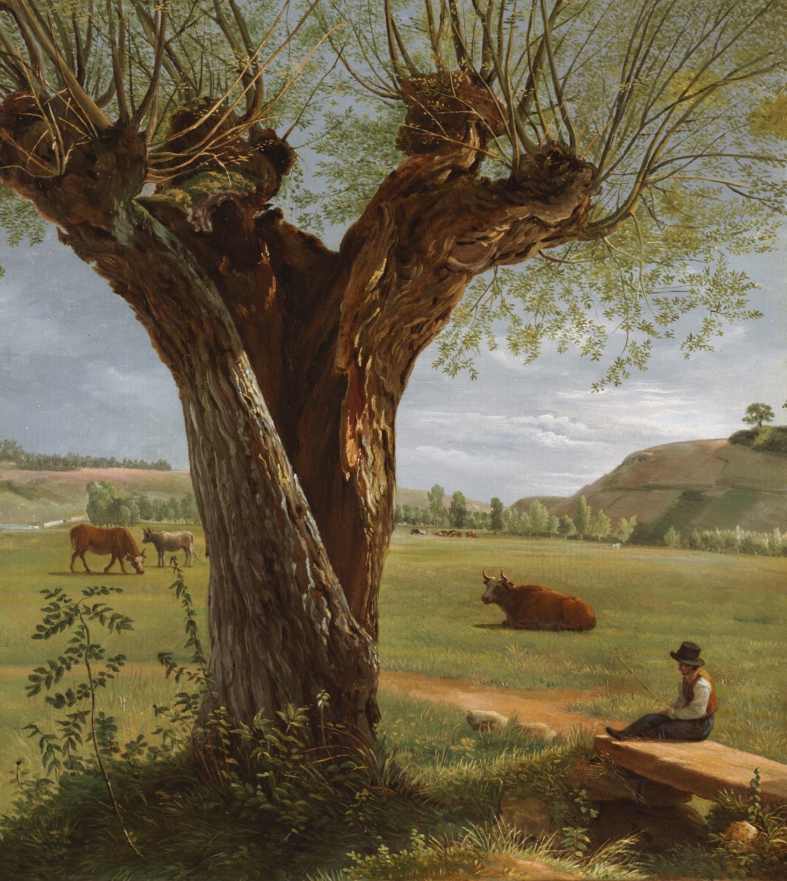 Pollard Willow, efter 1804 (olie på papir, monteret på lærred) af Pierre Jean Boquet