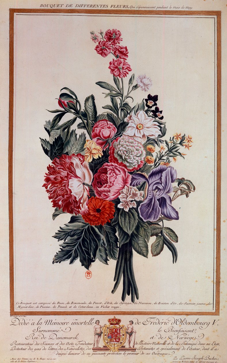 Buket blomster melange Litografi af Pierre Joseph af Pierre Joseph Buchoz