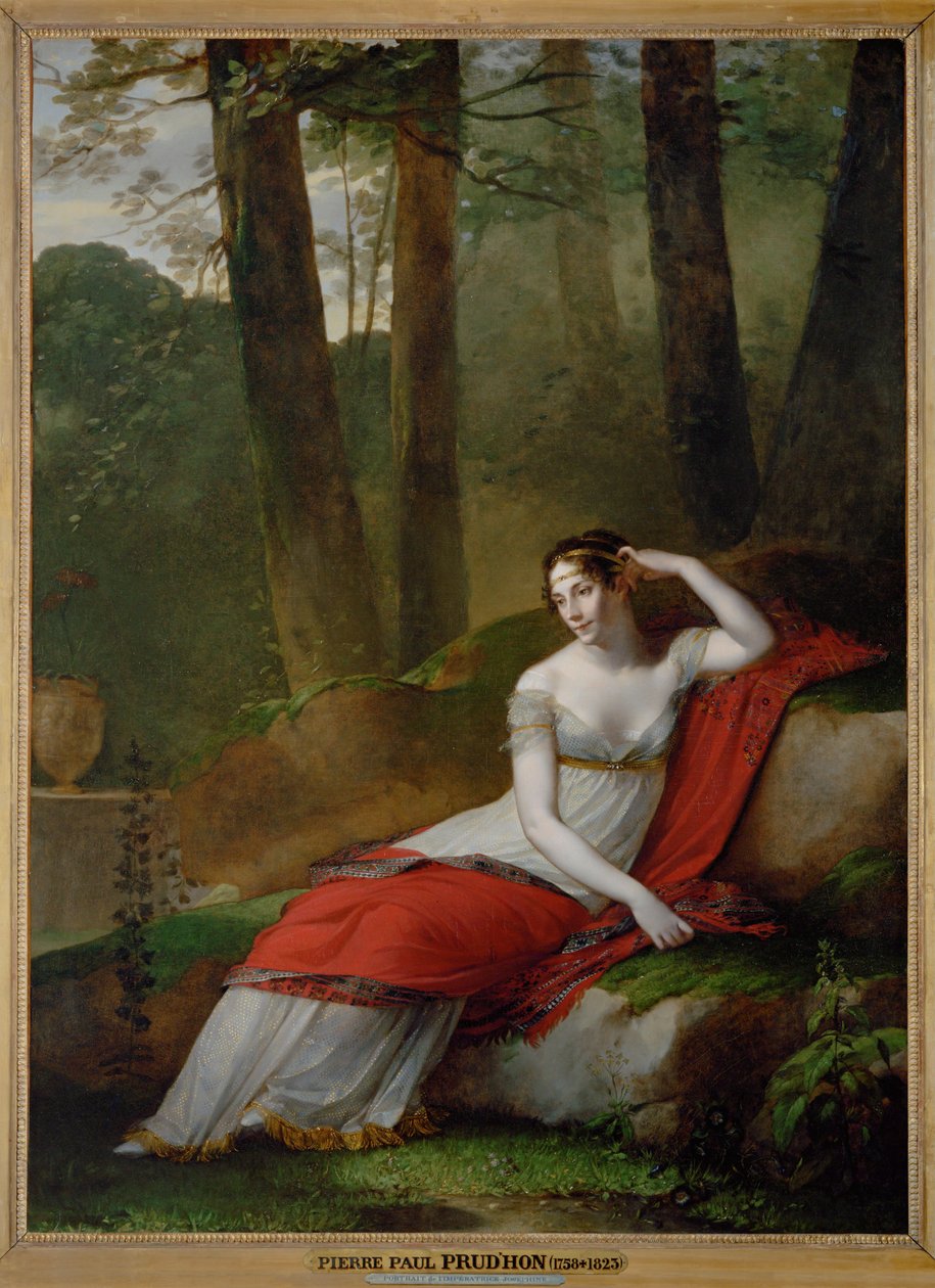 Kejserinde Josephine, Napoleon I