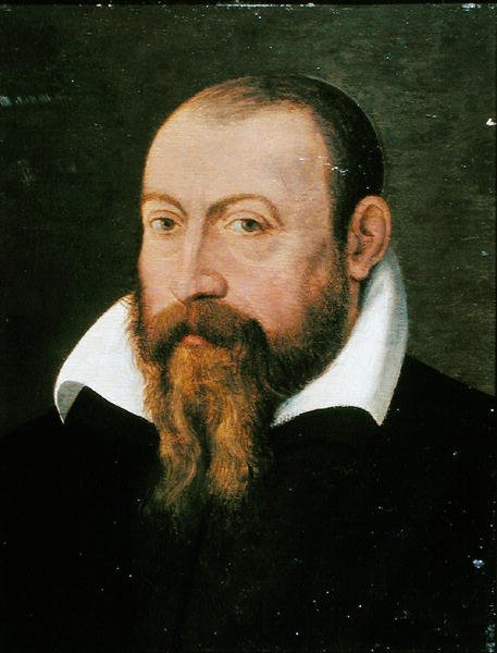 Jacques Dalechamps (1513-88) (olie på panel) af Pierre (attr. to) Eskrich