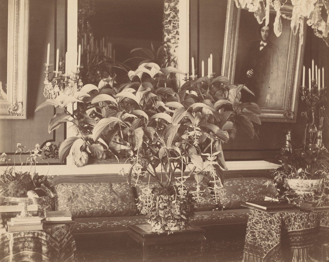 Interiør, 1860