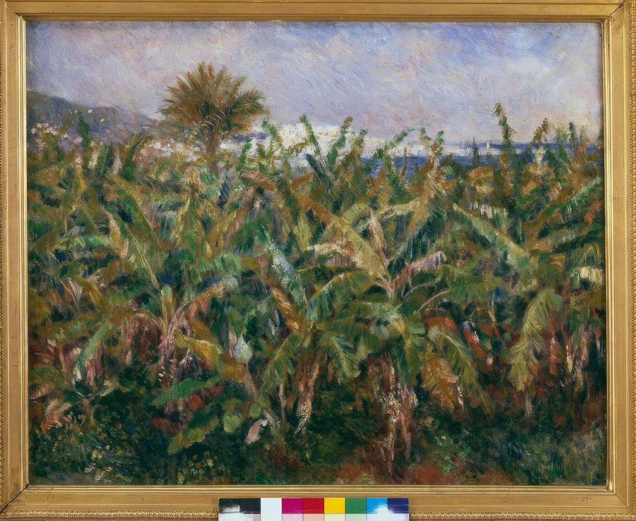 Bananmark af Pierre Auguste Renoir