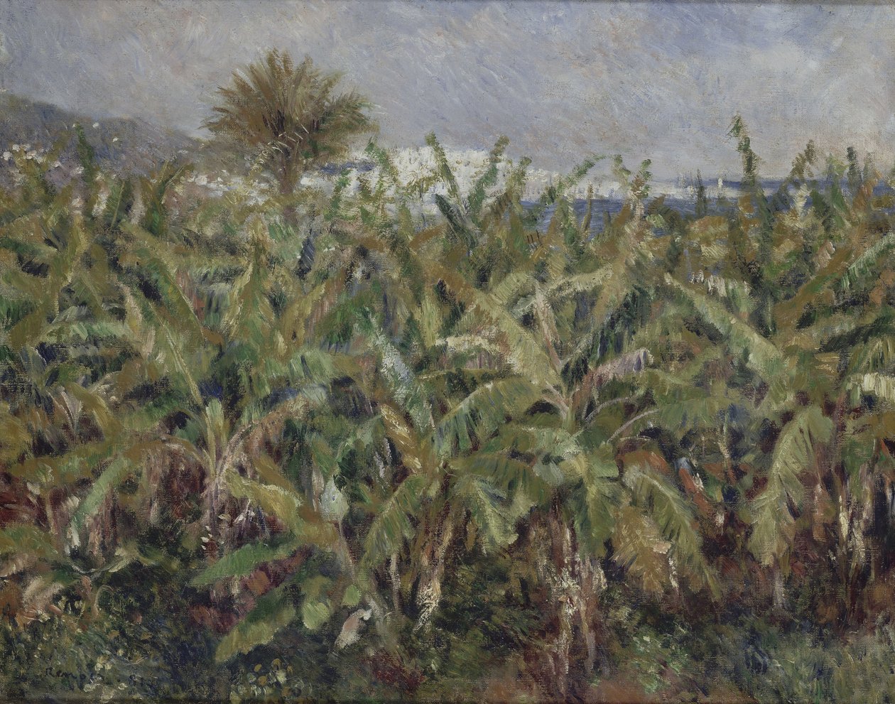 Mark med banantræer Champ de bananiers, 1881 af Pierre Auguste Renoir