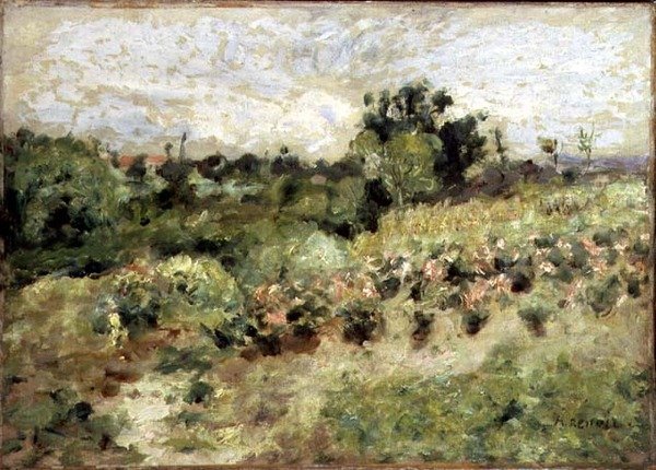 Field of Roses (olie på lærred) af Pierre Auguste Renoir