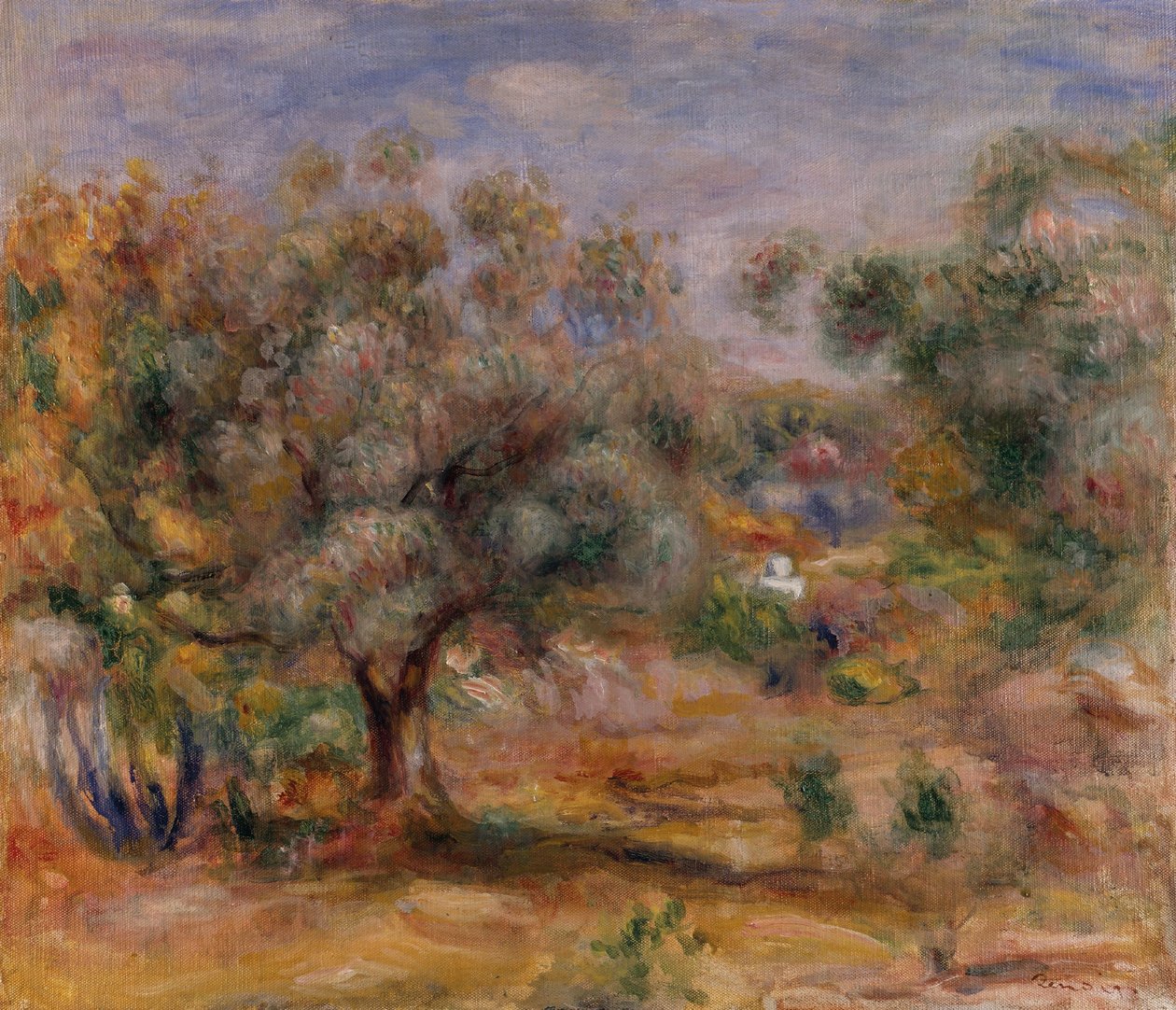Oliventræ i Les Collettes, ca. 1910-15 (olie på lærred) af Pierre Auguste Renoir