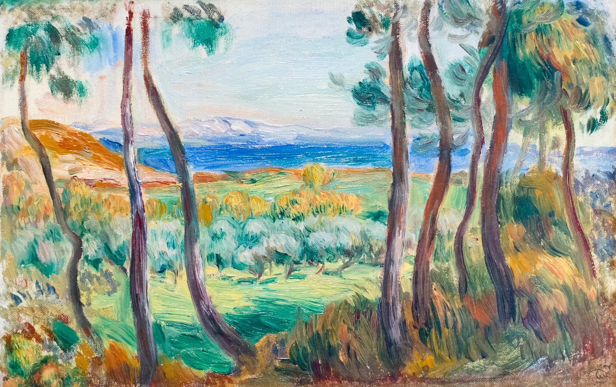 Pines nær Cagnes, ca. 1910 (olie på lærred) af Pierre Auguste Renoir