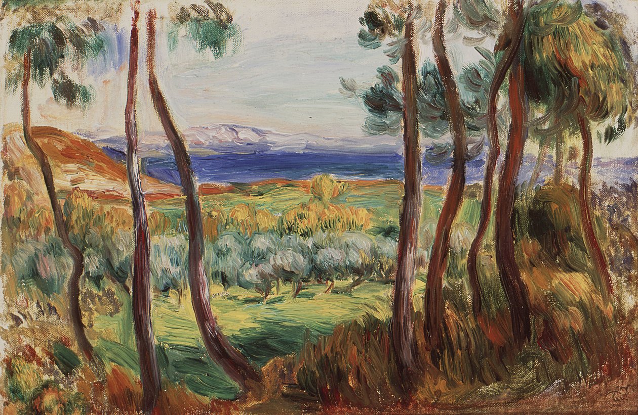 Fyrretræer omkring Cagnes, ca. 1910. af Pierre Auguste Renoir