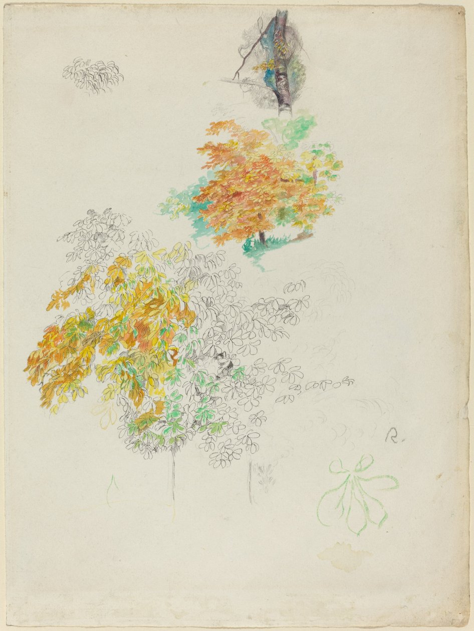 Studier af træer, 1886. af Pierre Auguste Renoir