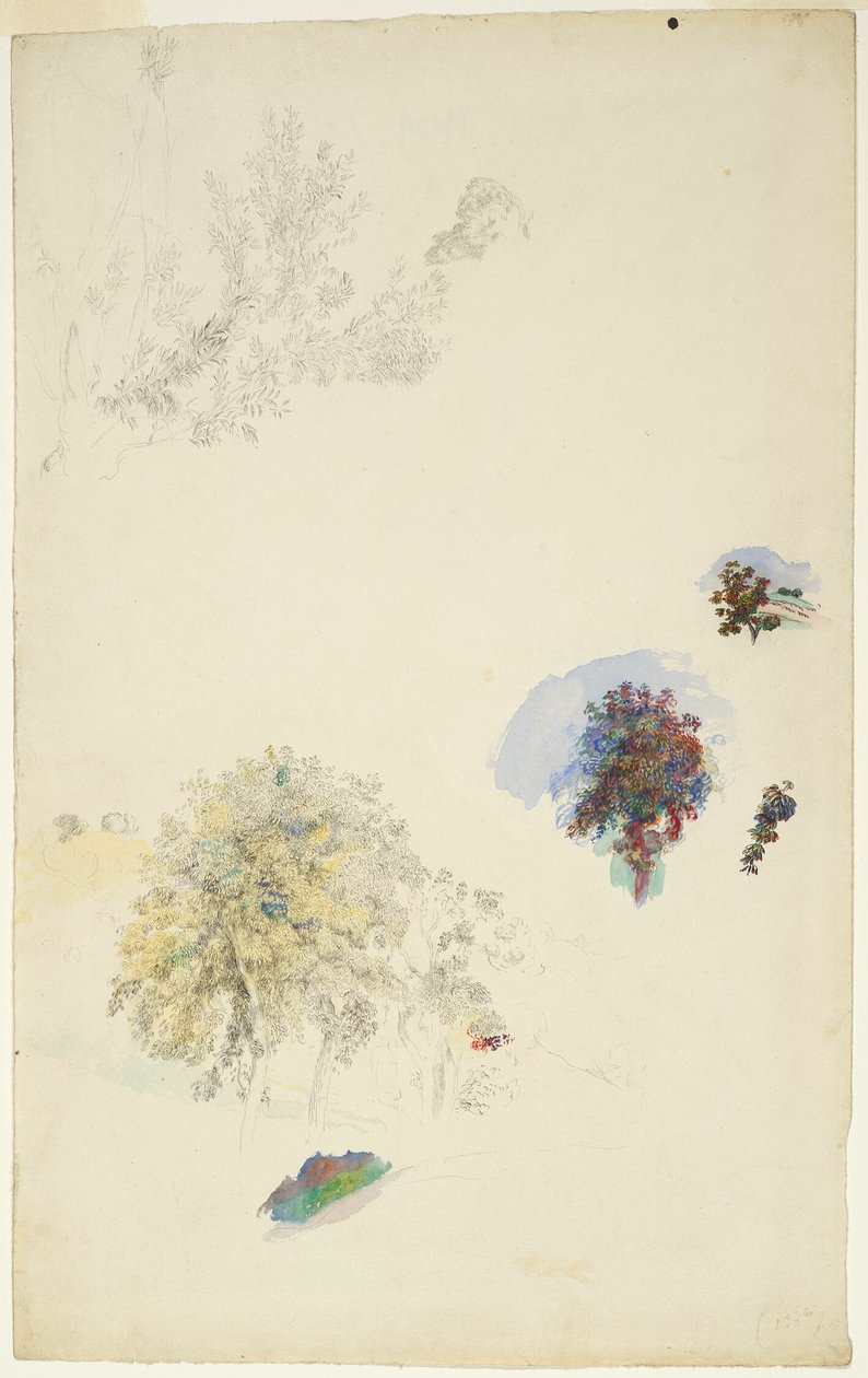 Studier af træer og løv af Pierre Auguste Renoir