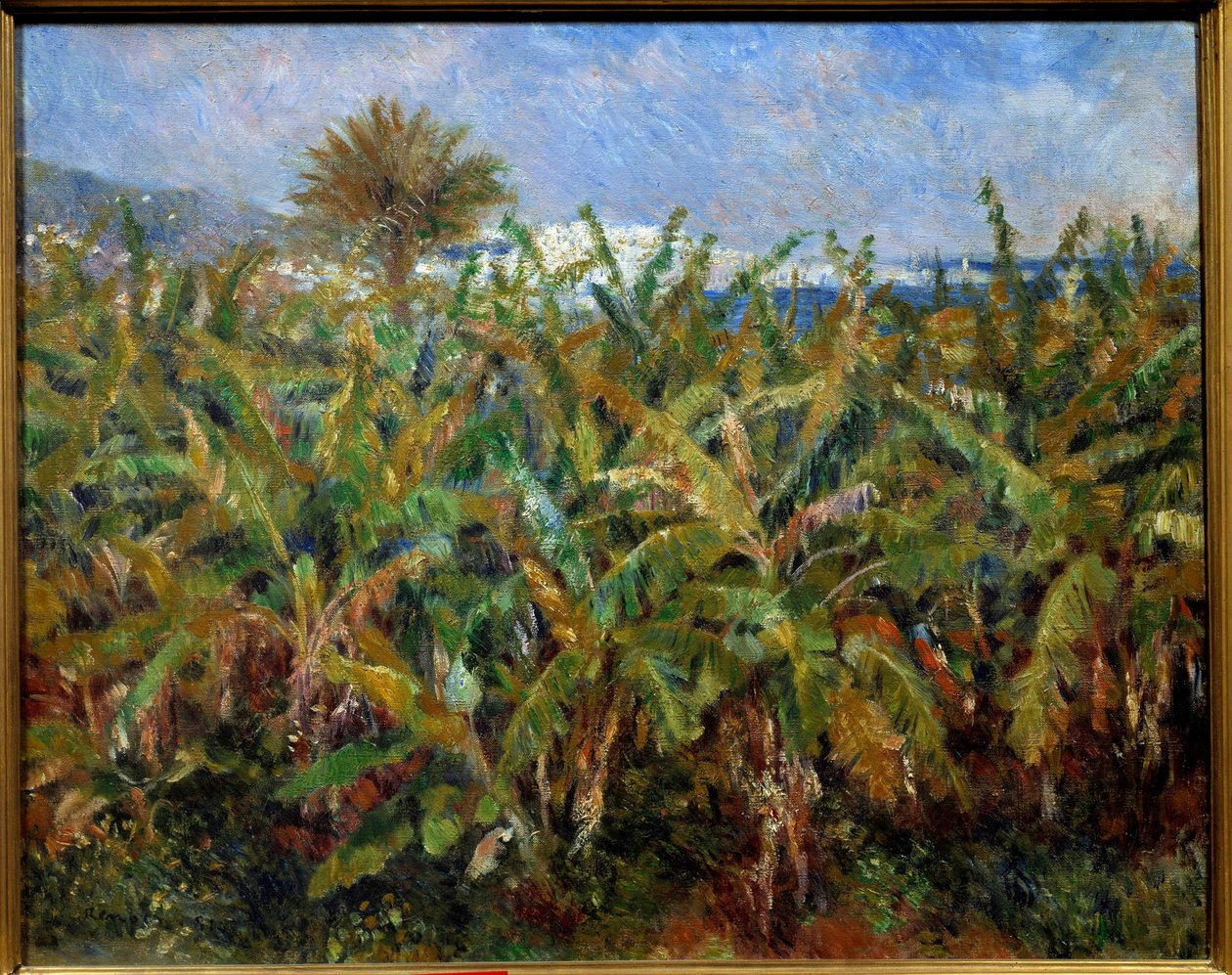 Un champ de bananas Maleri af Pierre Auguste Renoir (1841-1919) 1881 Søn. 0,51x0,63 m Paris, musee d