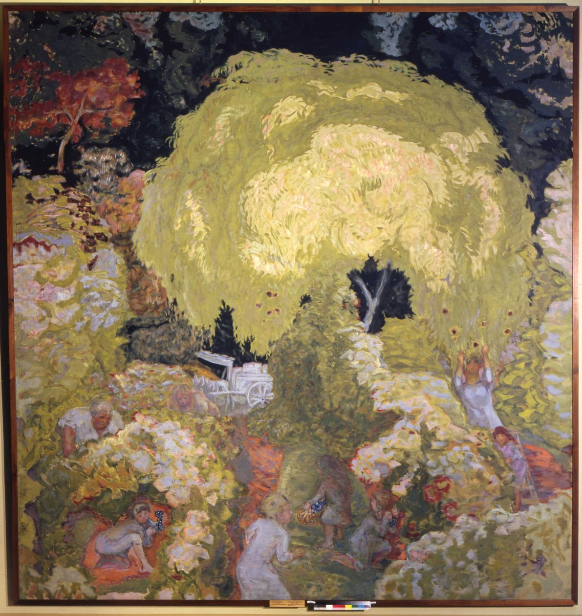 Efterår, frugtplukning af Pierre Bonnard