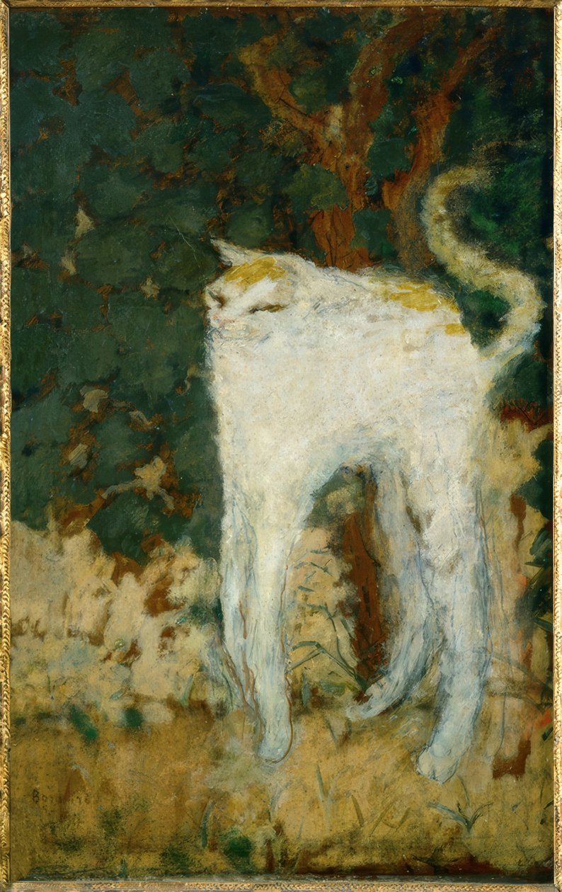Den hvide kat af Pierre Bonnard
