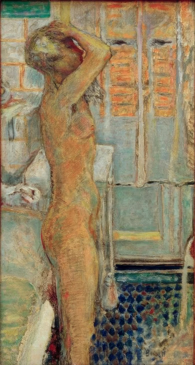 Ingen profil grå af Pierre Bonnard
