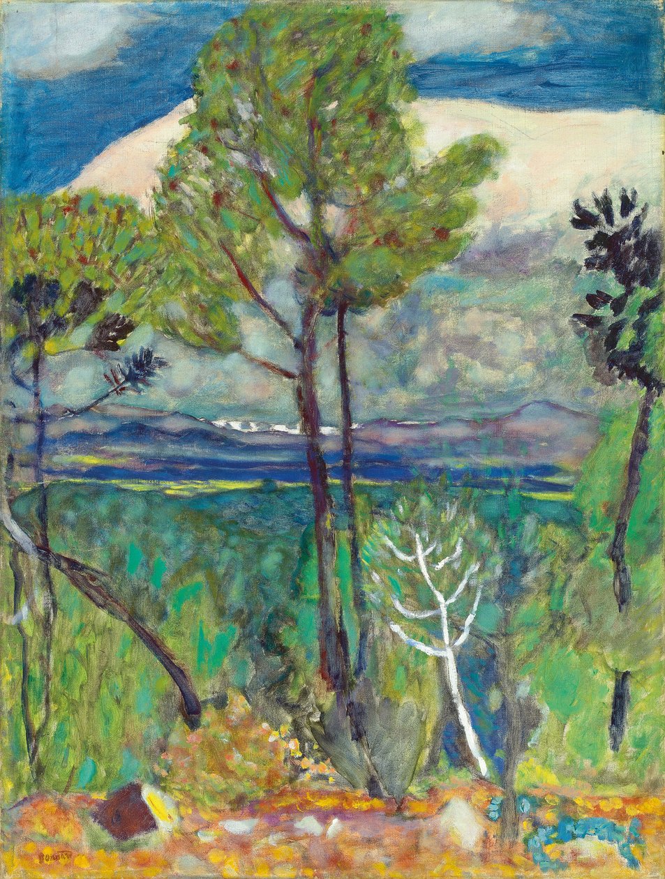 The Pines, By the Sea, ca. 1923 (olie på lærred) af Pierre Bonnard