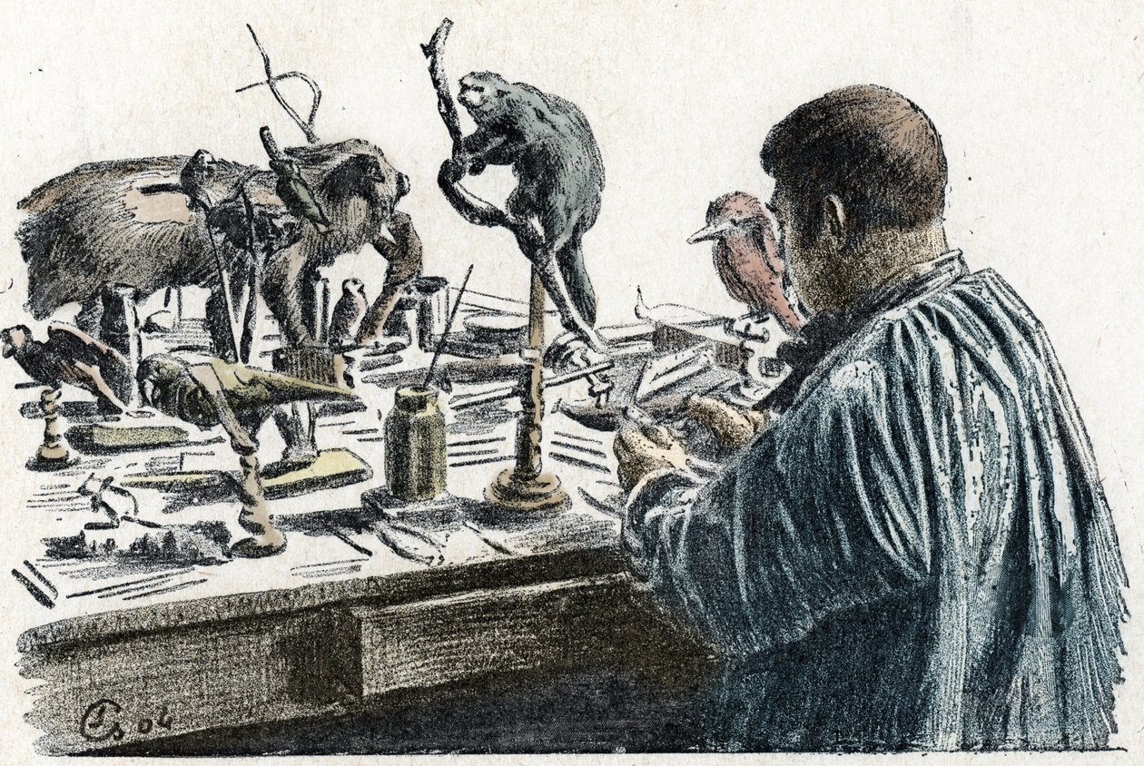 Taxidermi: En taxidermist udstoppede dyr i sit værksted Gravering fra Excursion a travers les metiers” af Pierre Calmette Collection privee af Pierre Calmettes