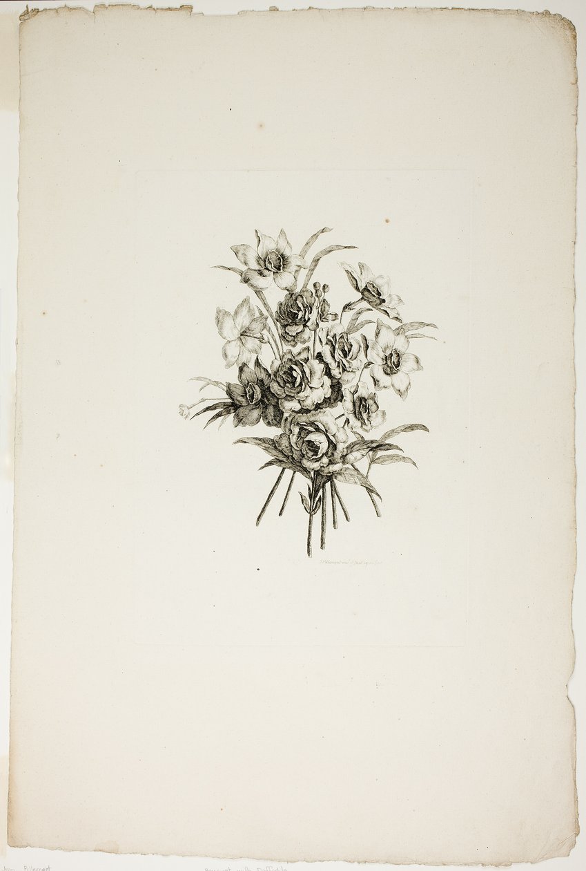 Buket med påskeliljer, fra samling af forskellige buketter af blomster, opfundet og tegnet af Jean Pillement og indgraveret af P. C. Canot af Pierre Charles Canot