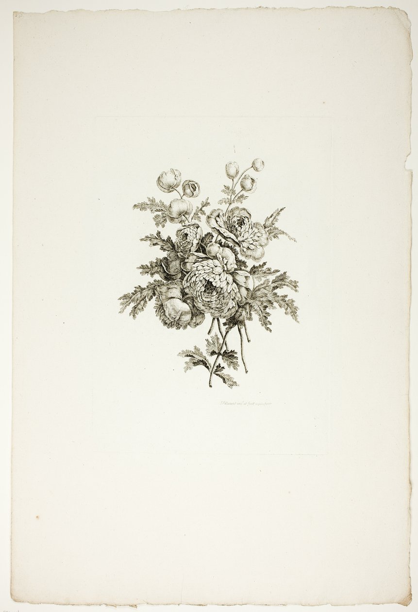 Buket med pæoner, fra samling af forskellige blomsterbuketter, opfundet og tegnet af Jean Pillement og graveret af P. C. Canot af Pierre Charles Canot