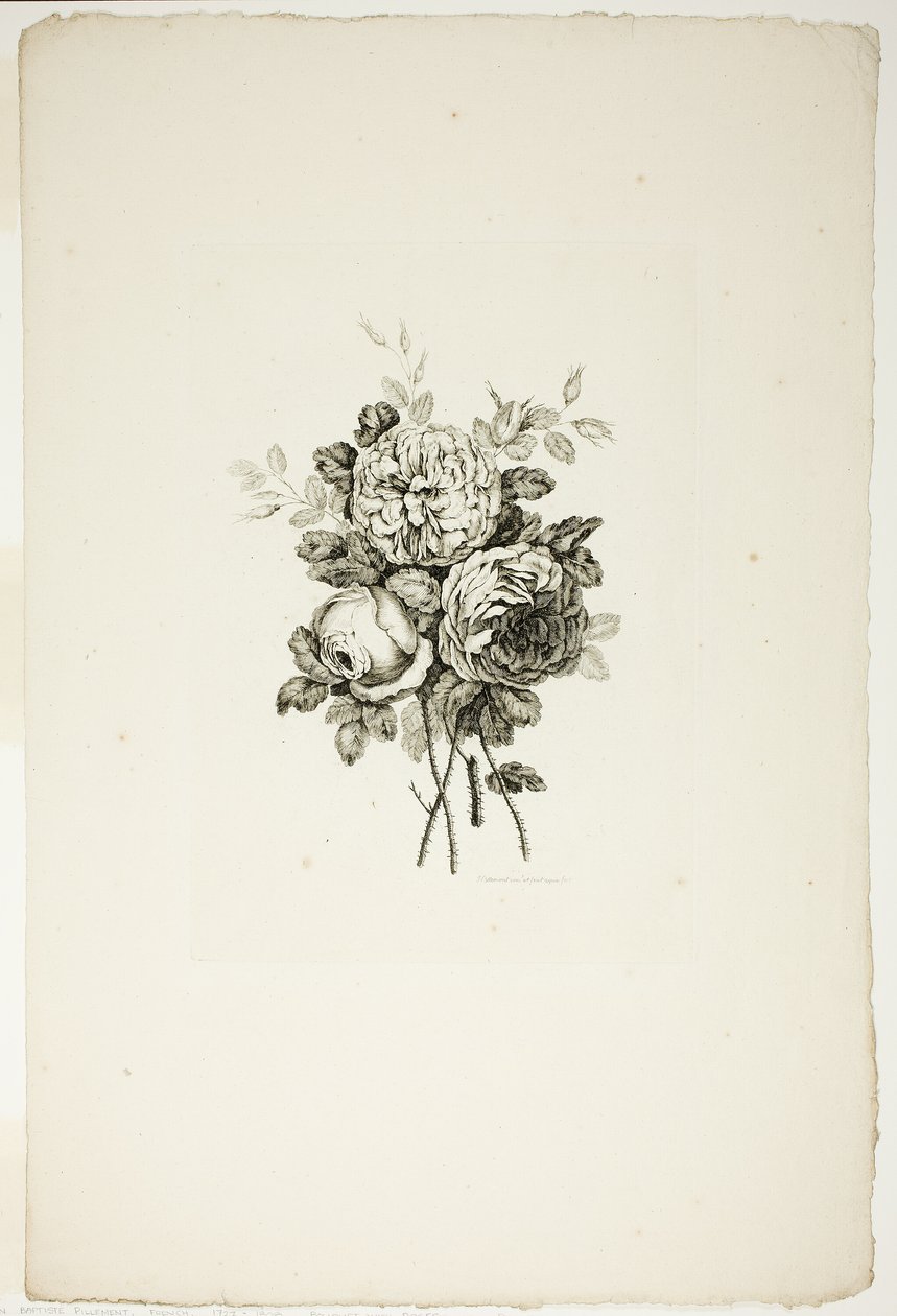 Buket med roser, fra samling af forskellige buketter af blomster, opfundet og tegnet af Jean Pillement og indgraveret af P. C. Canot af Pierre Charles Canot