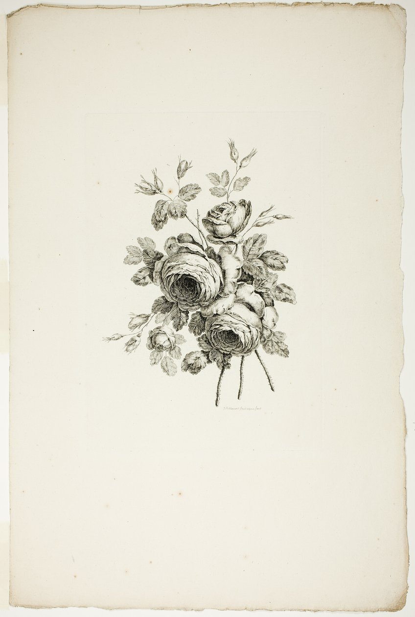 Buket med roser, fra samling af forskellige buketter af blomster, opfundet og tegnet af Jean Pillement og indgraveret af P. C. Canot af Pierre Charles Canot