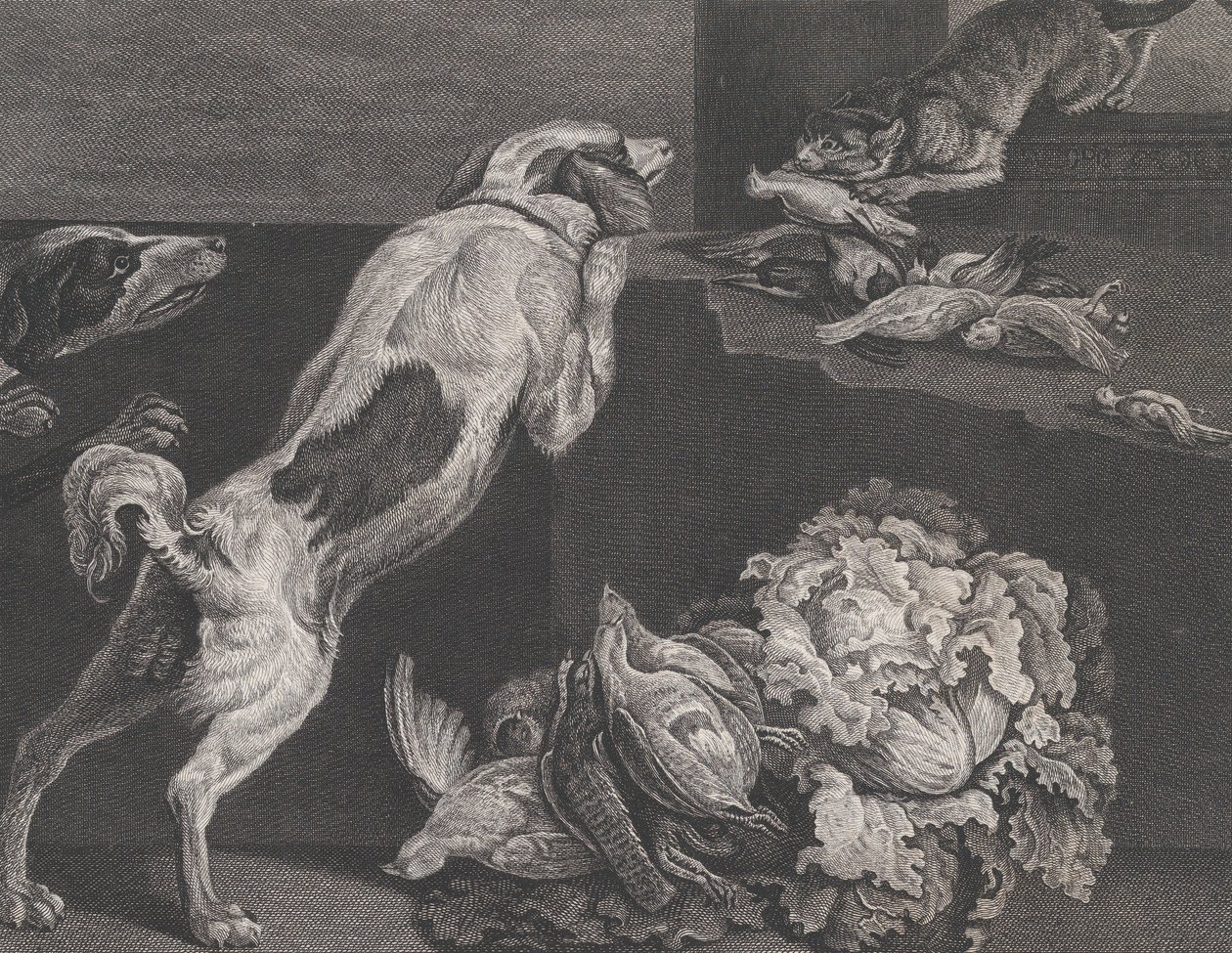 Hunde og Stilleben, 1778 af Pierre Charles Canot