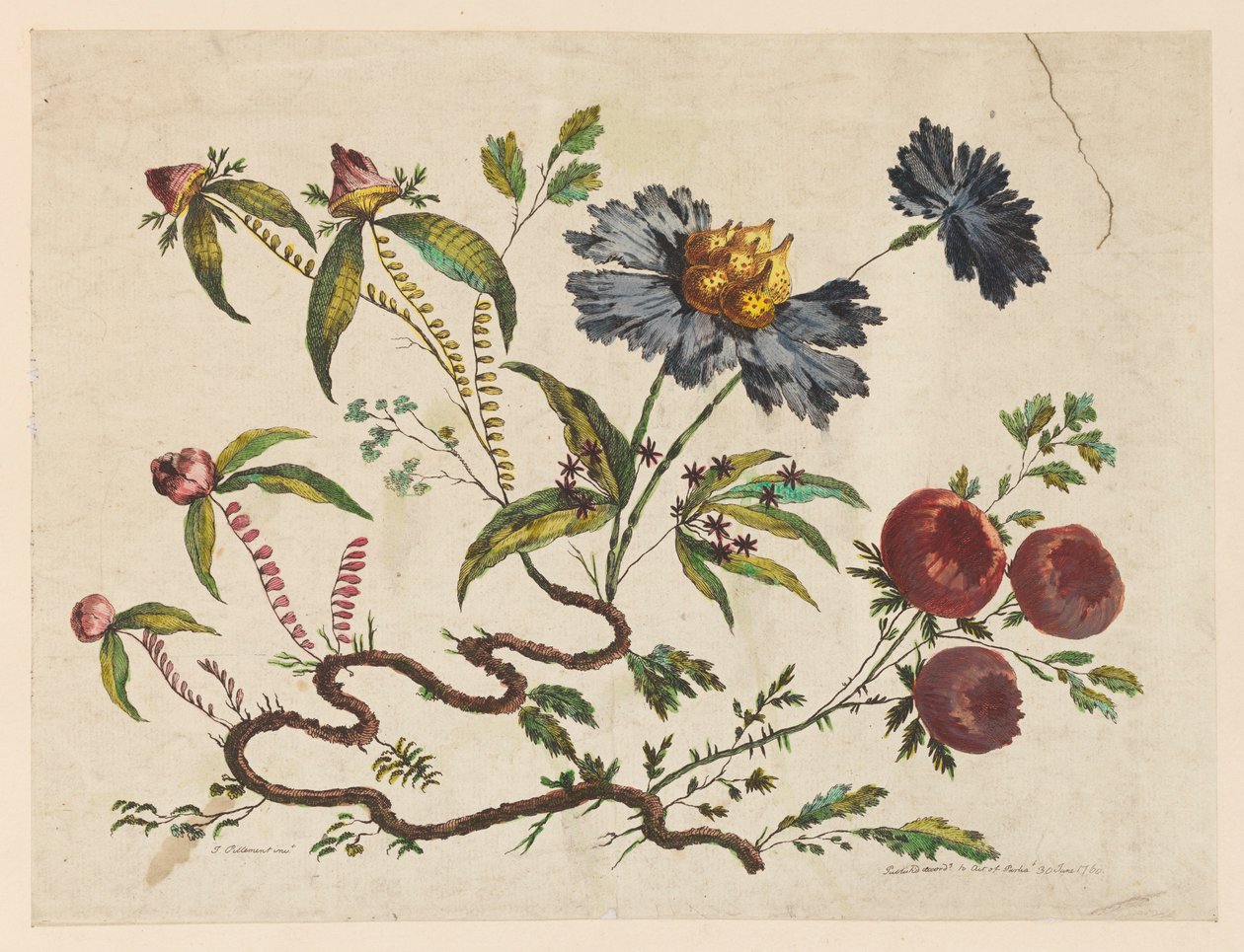 Print, Flower Boughs, fra "Recueil de Differentes Fleurs de Fantaisie Dans le Goût Chinois". af Pierre Charles Canot