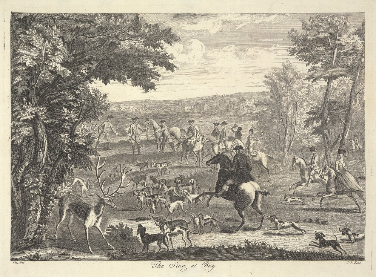 Hjorten ved bugten af Pierre Charles Canot