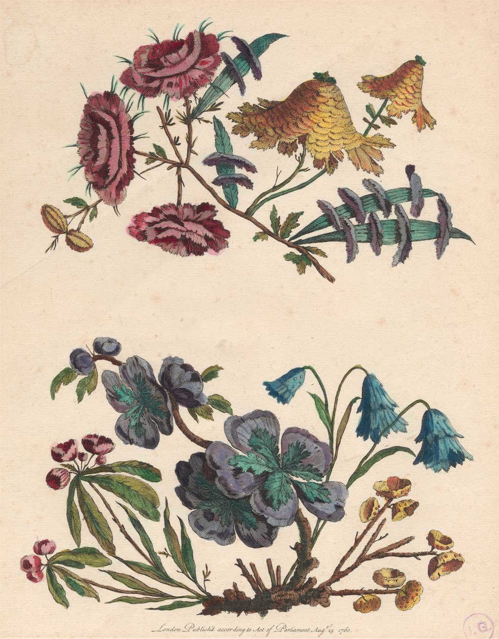 To sprøjter af imaginære blomster af Pierre Charles Canot
