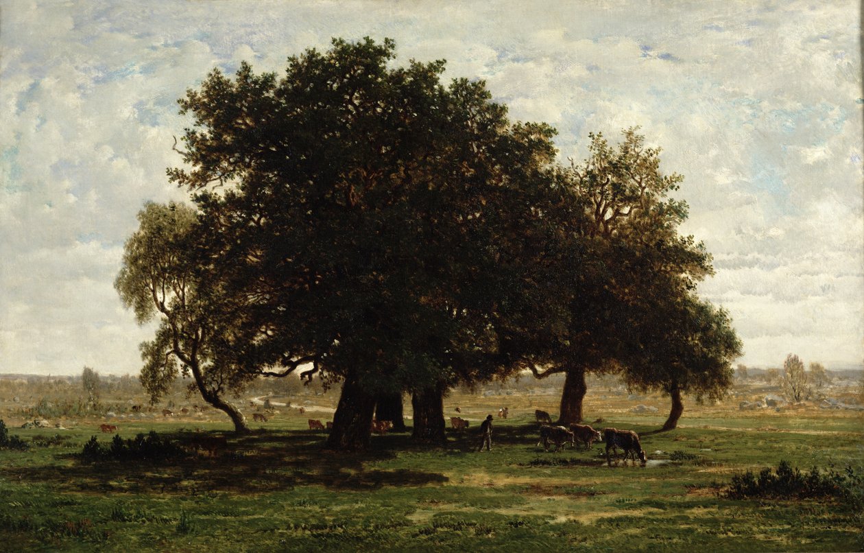 Holm Oaks, Apremont, 1850-52 af Pierre Etienne Theodore Rousseau