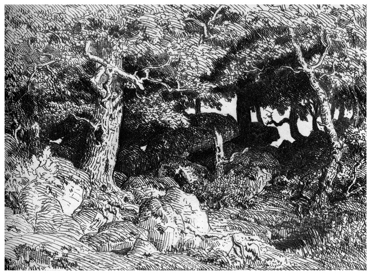 Chenes de Roche, c1832-1860, 1924 af Pierre Etienne Theodore Rousseau