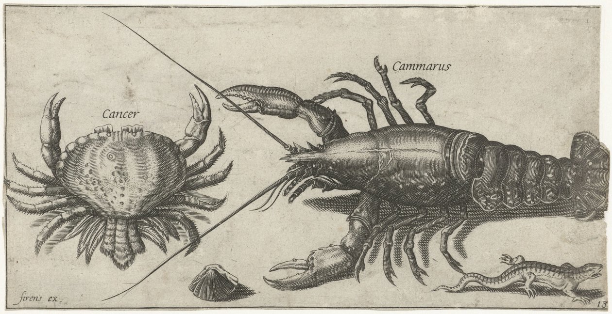 Hummer, krabbe, salamander og en skal Fiskeri (serietitel) Piscium vivae-ikoner (serietitel) af Pierre Firens