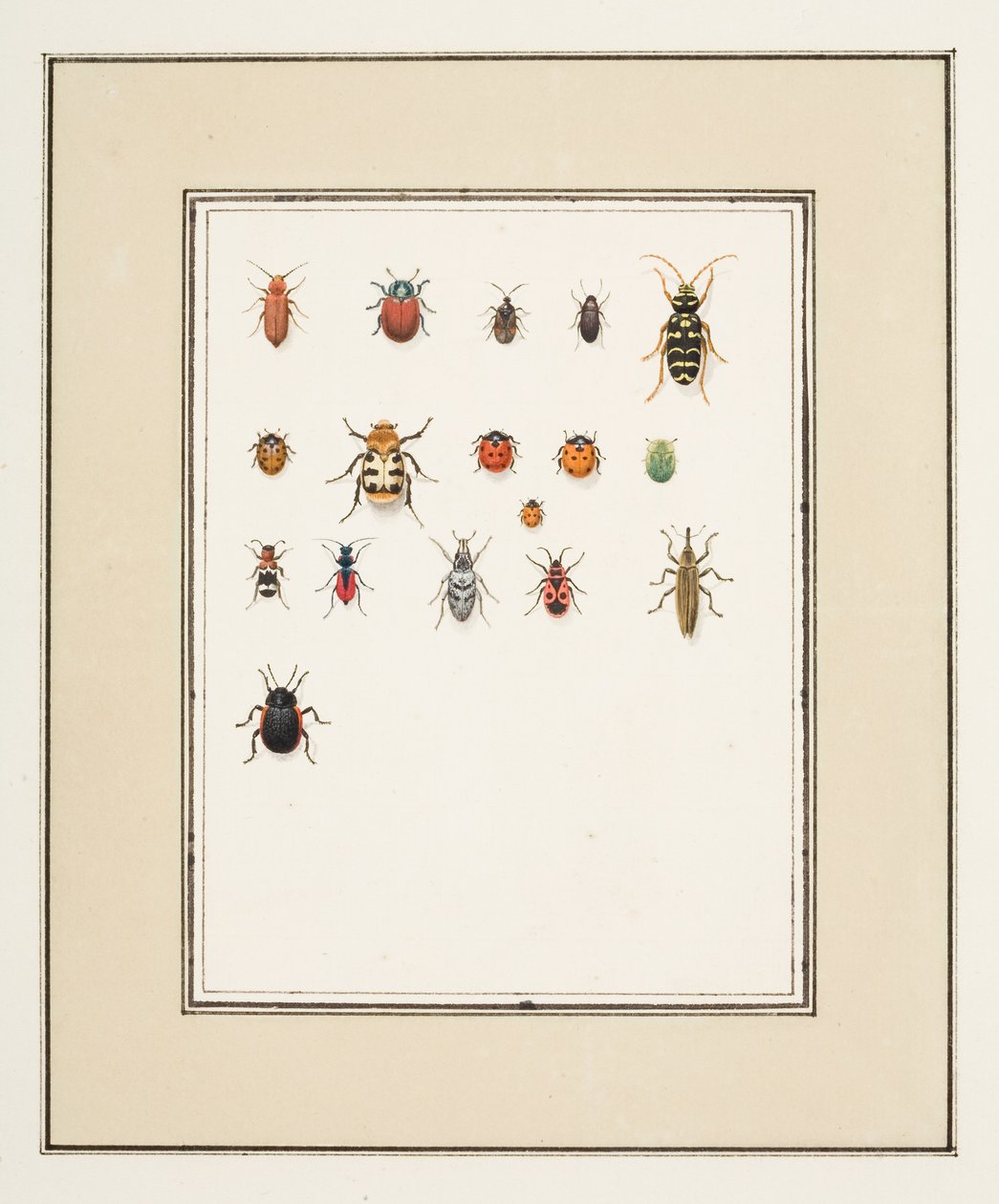 Biller, ca. 1755-65 (akvarel på papir) af Pierre Francois Ledoulx
