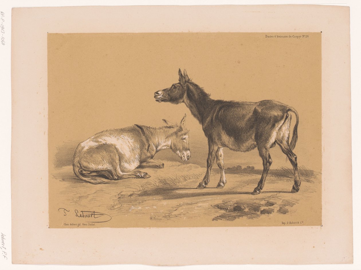 Studie af to æsler Cooper