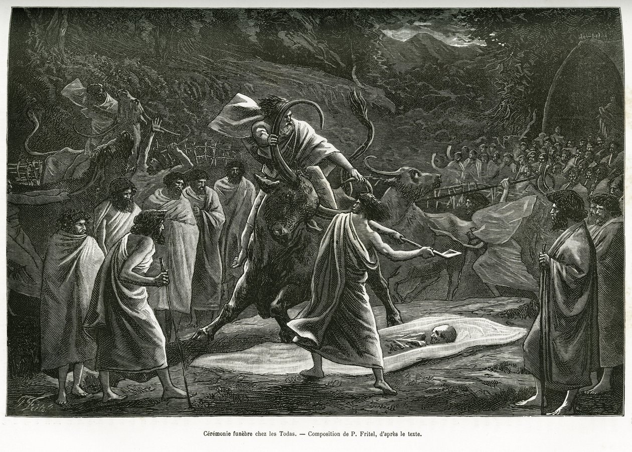 En begravelsesceremoni for Todas, et lille pastoralt samfund på Nilgiri-plateauet (Sydindien), under begravelsen ofres kvæg. Gravering af P. Fritel, til illustration af souvenirs fra en rejse til Nilgherries, af Madame Janssen, i 1. af Pierre Fritel
