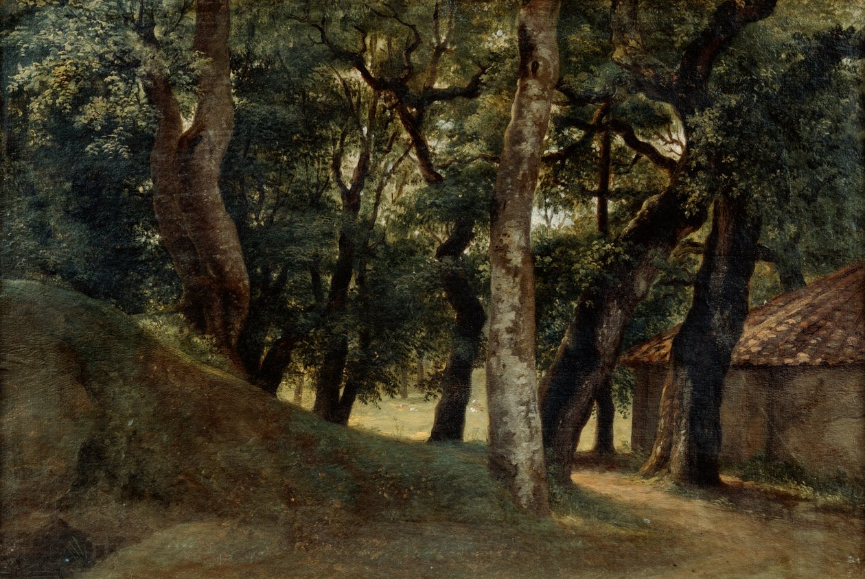 Skov af Villa Borghese, slutningen af det 18. tidlige 19. århundrede af Pierre Henri de Valenciennes