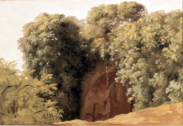 Ruinerne af en arkade med klynger af græs af Pierre Henri de Valenciennes