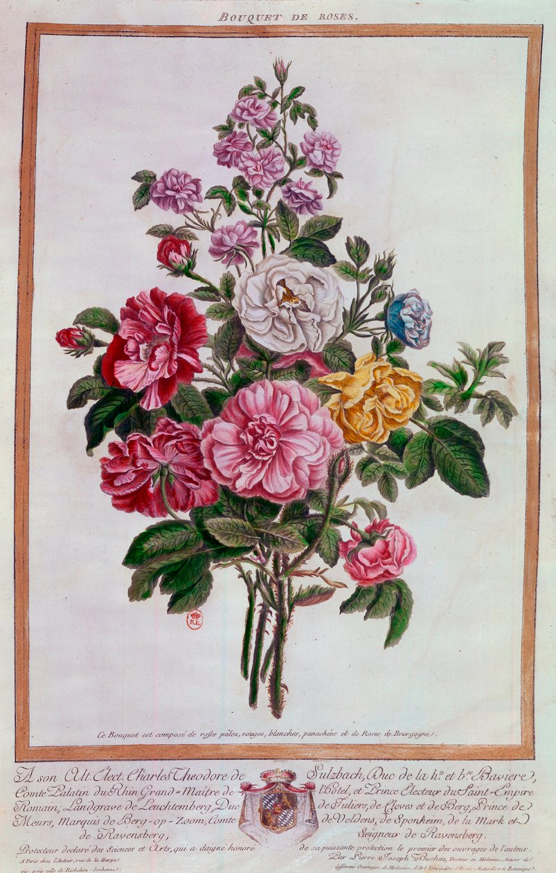Buket roser Litografi af Pierre Joseph Buchoz (1731-1807) 1700-tallets Paris, B.N. af Pierre Joseph Buchoz