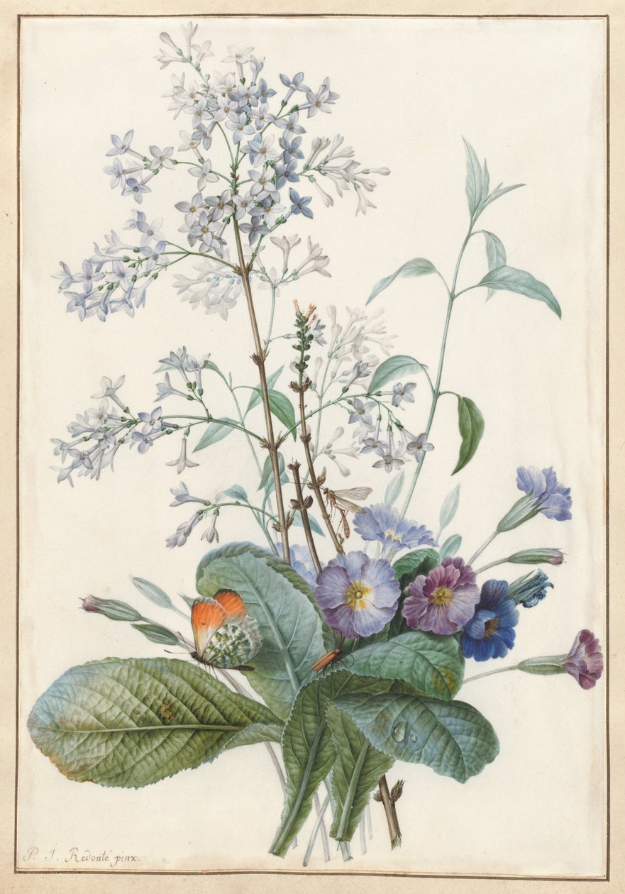 En buket blomster med insekter af Pierre Joseph Redouté